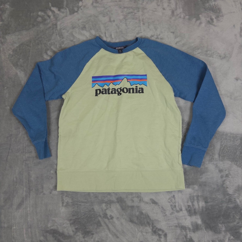 Patagonia Sweatshirt Kids XL Green Blue Raglan Organic Cotton Logo Pullover